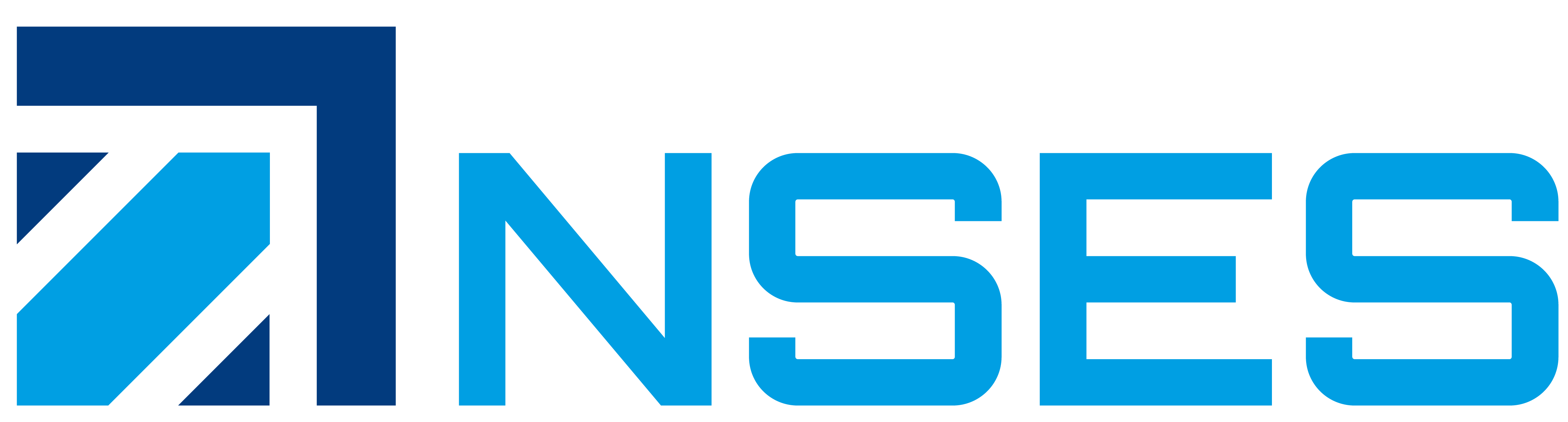 NSES Logo